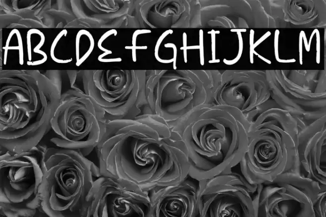 Caroline Display फ़ॉन्ट examples