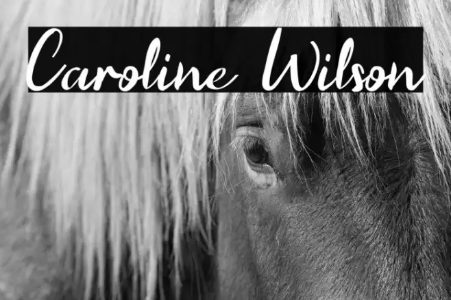 Caroline Wilson Font examples