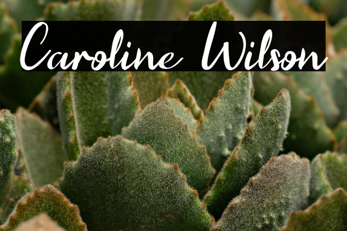 Caroline Wilson Example 3