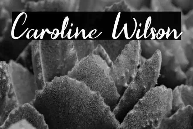 Caroline Wilson Font examples