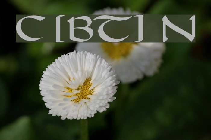 Carolingia [BigfooT]  Normal Example 1