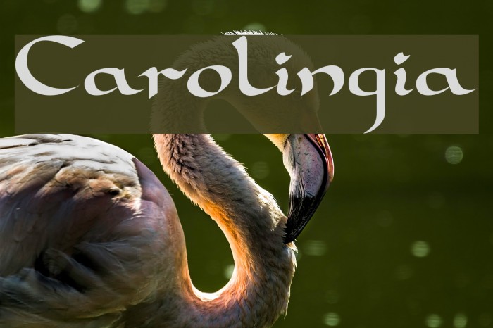Carolingia Schriftart examples