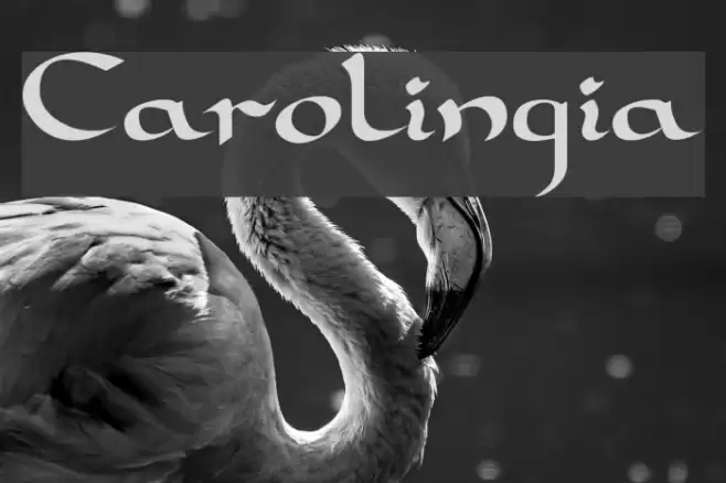 Carolingia Font examples