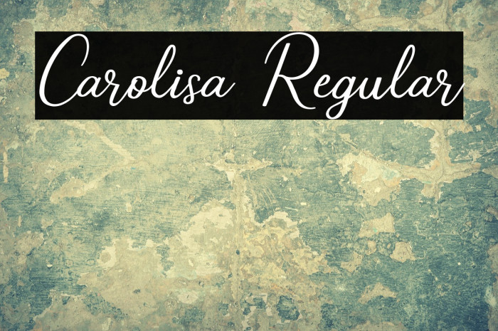 Carolisa Regular Example 1