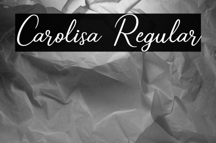 Carolisa Regular Example 2