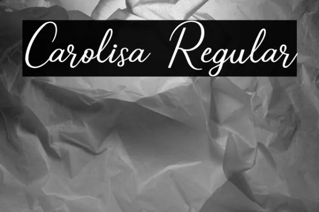 Carolisa Regular Example 2