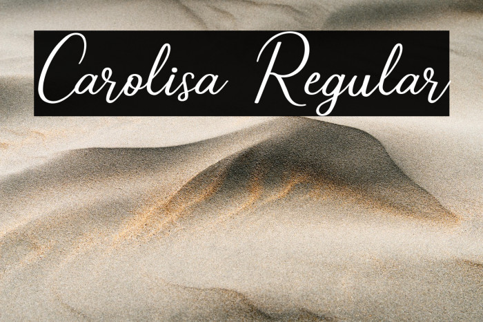 Carolisa Regular Example 3