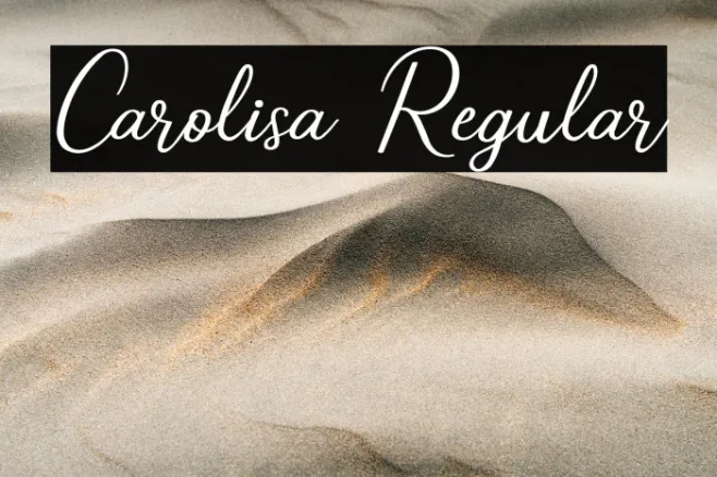 Carolisa Regular Example 3