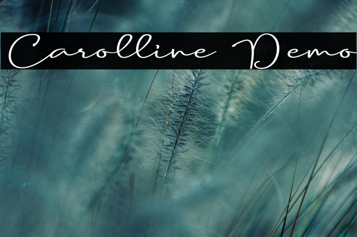 Carolline Demo Example 2