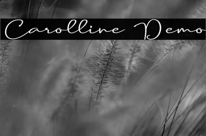 Carolline Demo Caratteri examples