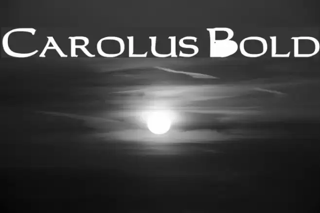 Carolus Bold Font examples