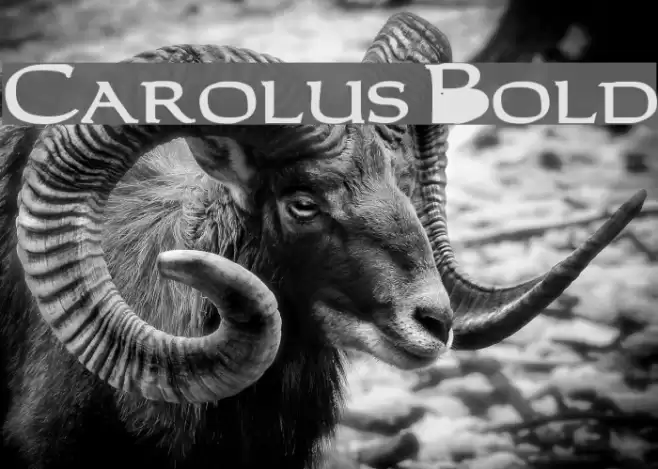 Carolus Bold Font examples