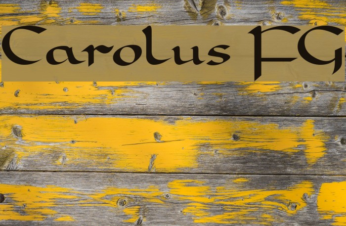 Carolus FG Font examples