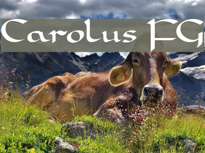 Carolus FG Font examples