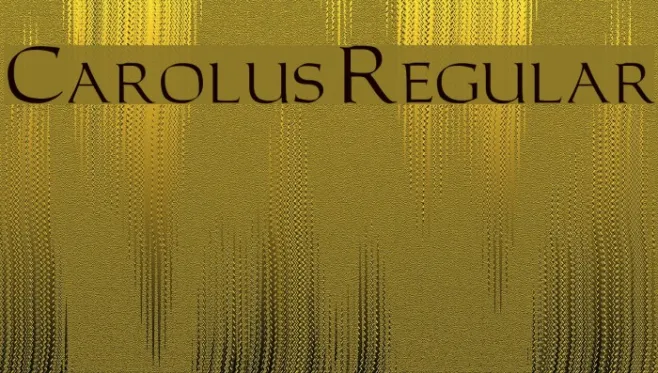 Carolus Regular Example 1