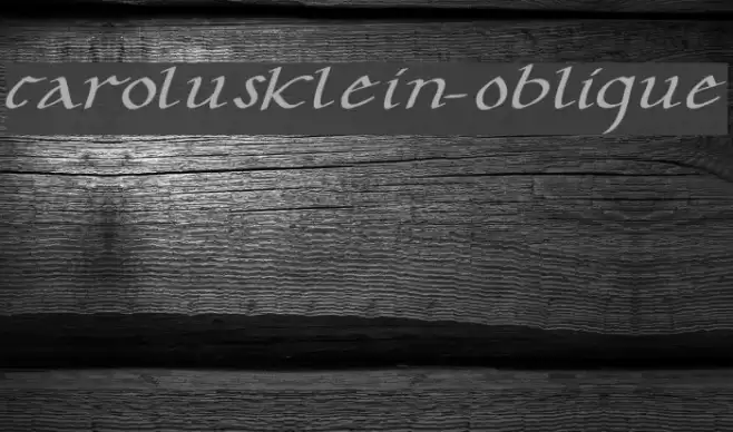 CarolusKlein-Oblique フォント examples