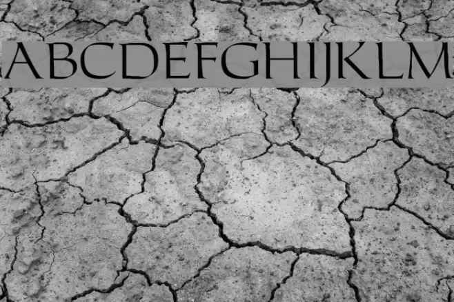 CarolusRomanFont Font examples