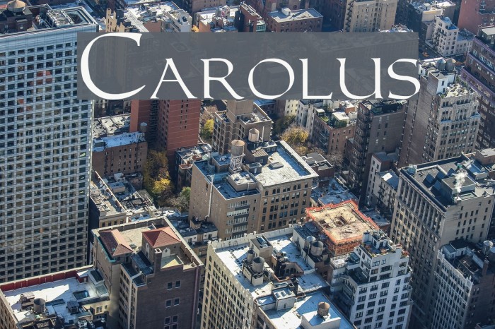 Carolus Font examples