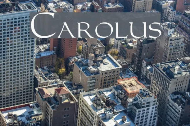 Carolus Example 1