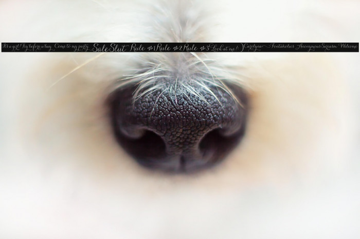 CarolynaWords Example 1