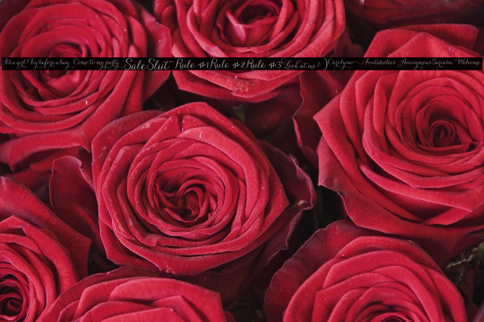 CarolynaWords Example 2