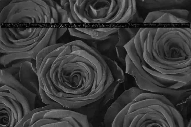 CarolynaWords Font examples