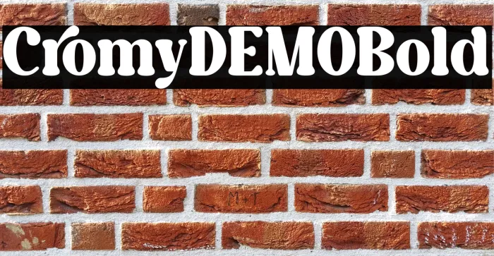 Caromy DEMO Bold Example 2