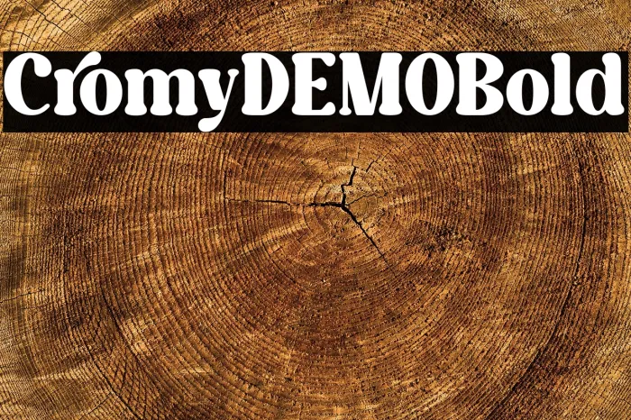 Caromy DEMO Bold Example 3