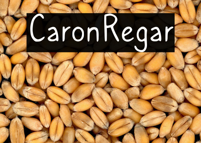 Caroni Regular Example 1