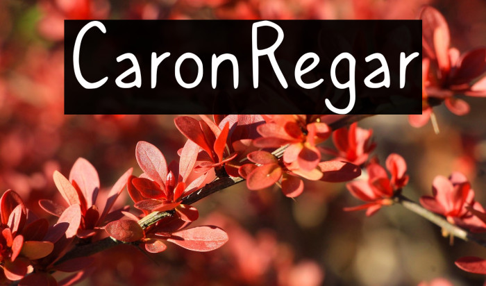 Caroni Regular Example 3