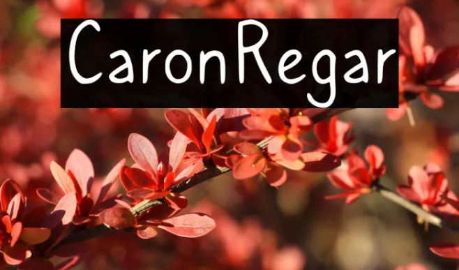 Caroni Regular Example 3