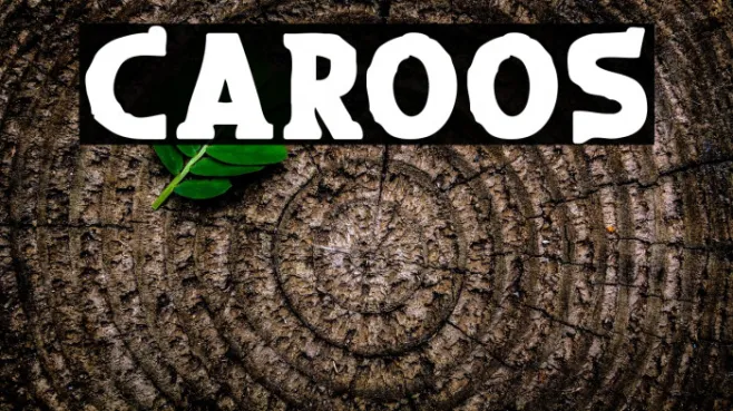 Caroos Example 1
