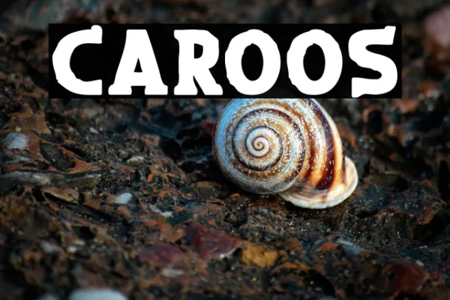 Caroos Example 3