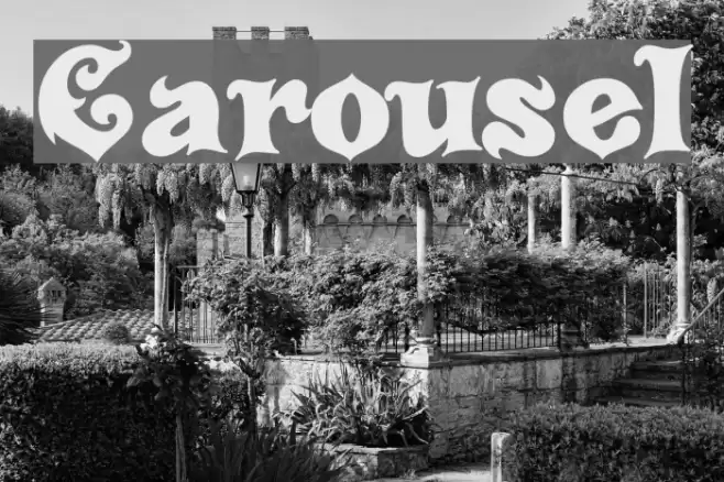 Carousel Font examples
