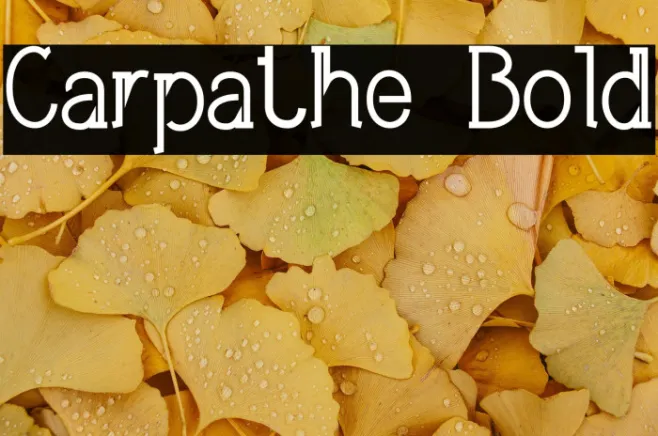 Carpathe Bold Example 1