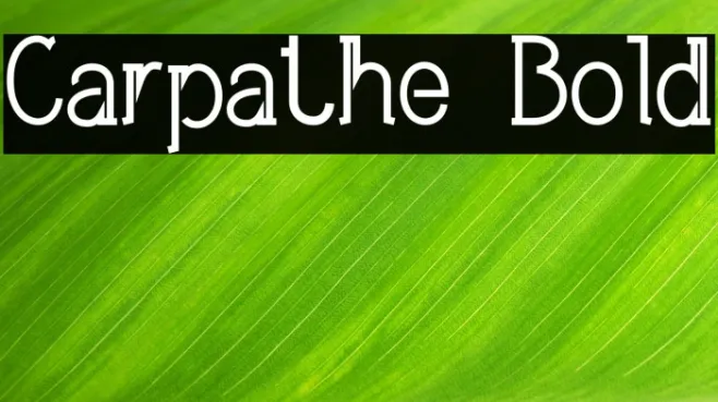 Carpathe Bold Example 3
