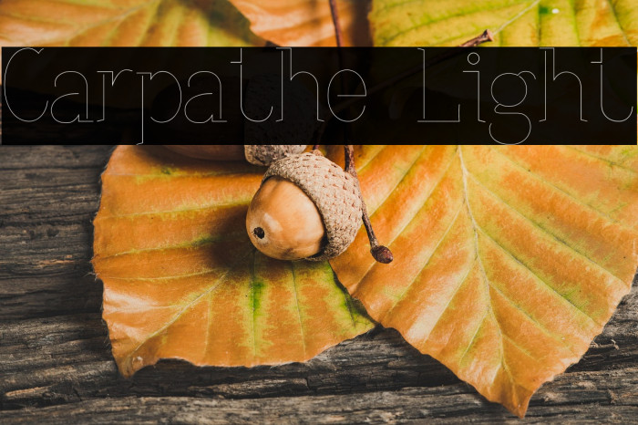 Carpathe Light Example 1