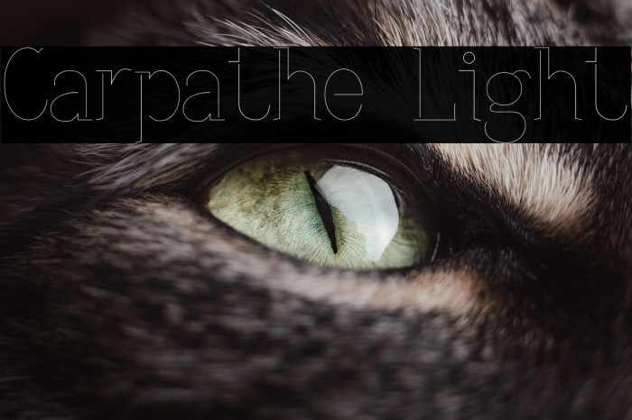 Carpathe Light Example 2