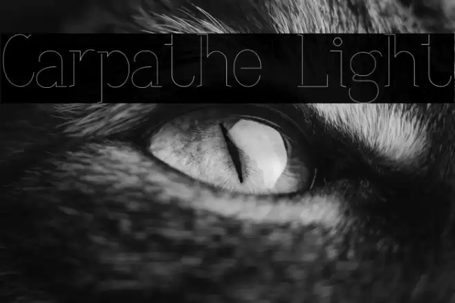 Carpathe Light Font examples