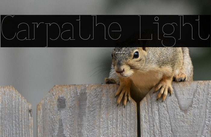 Carpathe Light Example 3