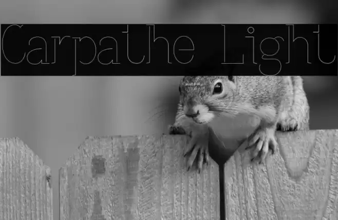 Carpathe Light Font examples