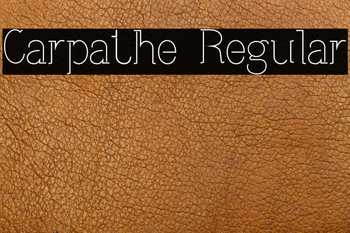 Carpathe Regular Example 1