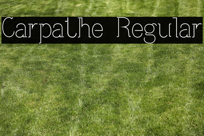 Carpathe Regular Example 2