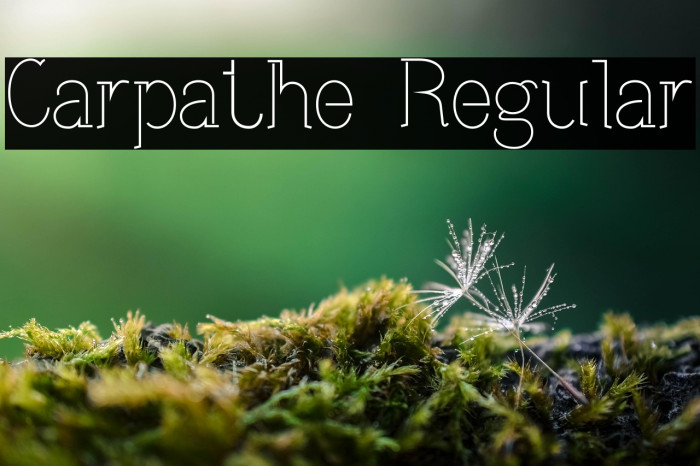 Carpathe Regular Example 3