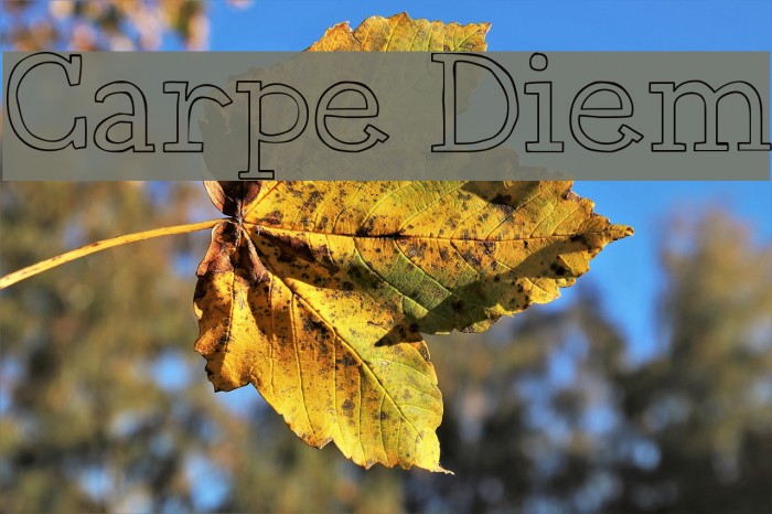 Carpe Diem Font examples