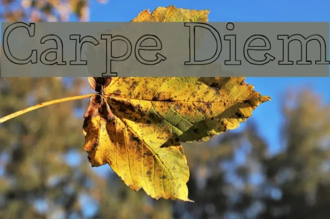 Carpe Diem Example 2