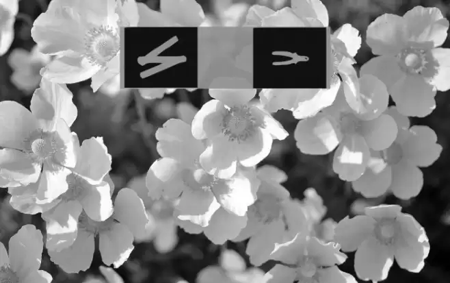 Carpenter Tools Font examples