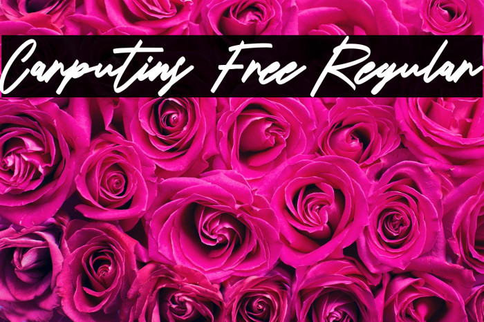 Carputins Free Regular Example 1