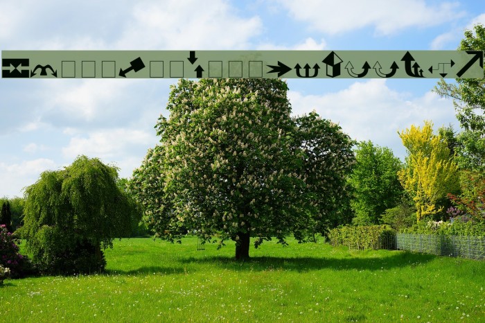 Carr Arrows [filled] Example 3