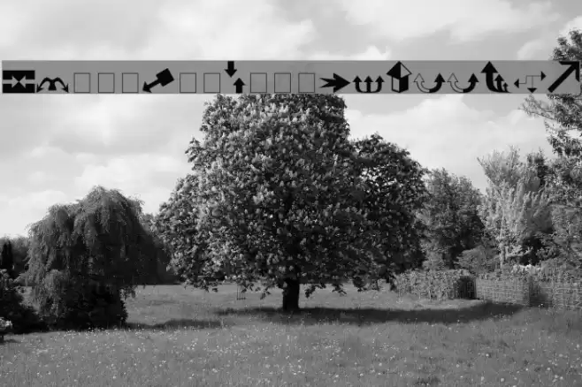 Carr Arrows [filled] Fonte examples